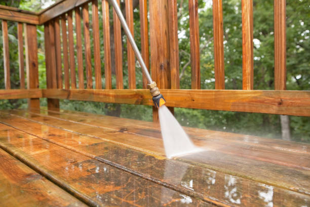 Best Roof Washing  in Pontoon Beach, IL